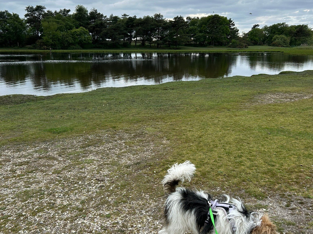 Hatchet Pond-Beaulieu必去景点