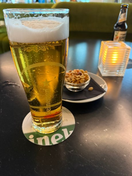 雅高芮族阿姆斯特丹城市酒店-旅行者