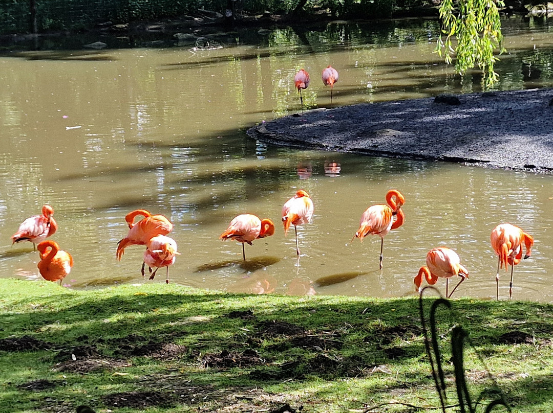 Parc Animalier et Botanique de Branféré-Le Guerno必去景点