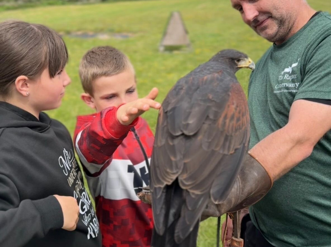 Lavenham Falconry-Monks Eleigh必去景点