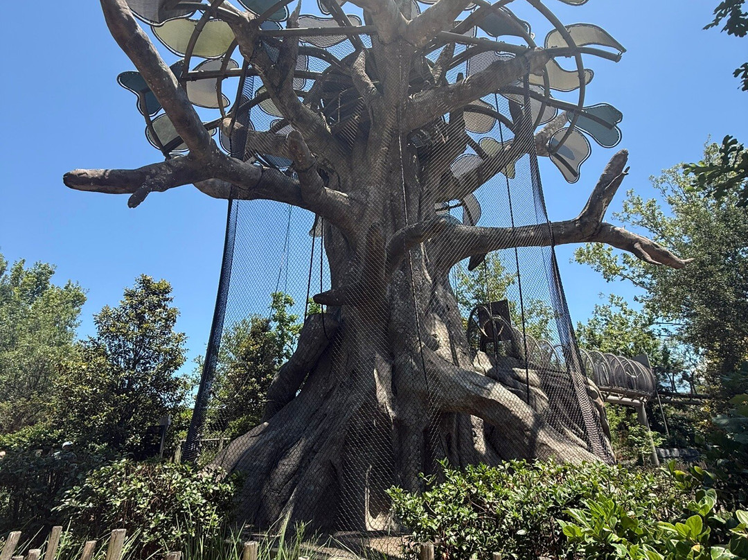 Jacksonville Zoo & Gardens-杰克逊维尔必去景点