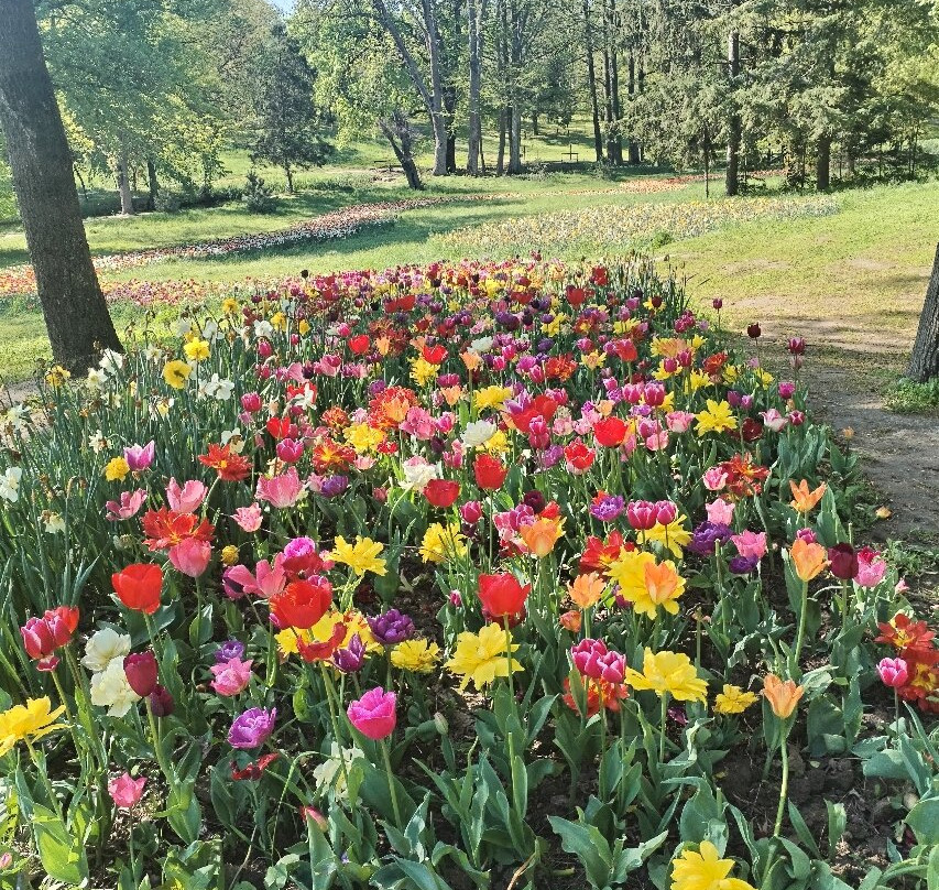 Parcul Nicolae Romanescu-克拉约瓦必去景点