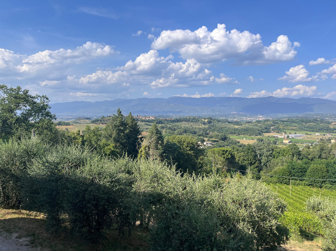 I Selvatici Winery-蒙泰瓦尔基必去景点