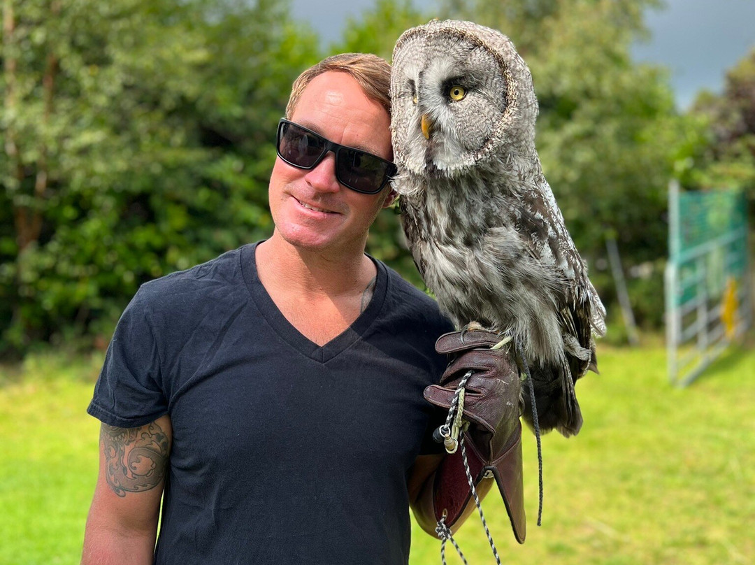 Killarney Falconry-基拉尼必去景点