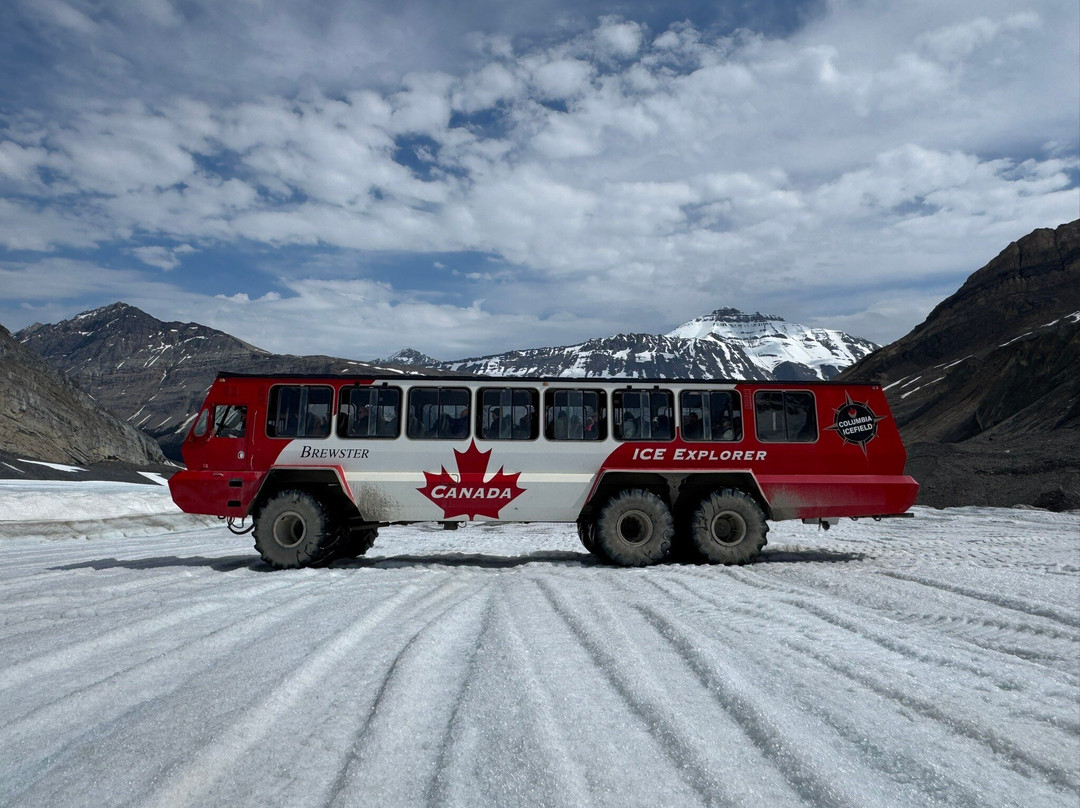 Athabasca Glacier-贾斯珀国家公园必去景点