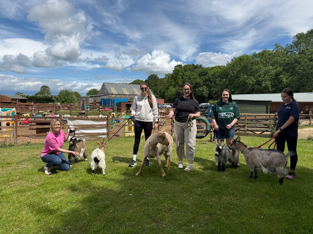 Tiny Steps Petting Farm