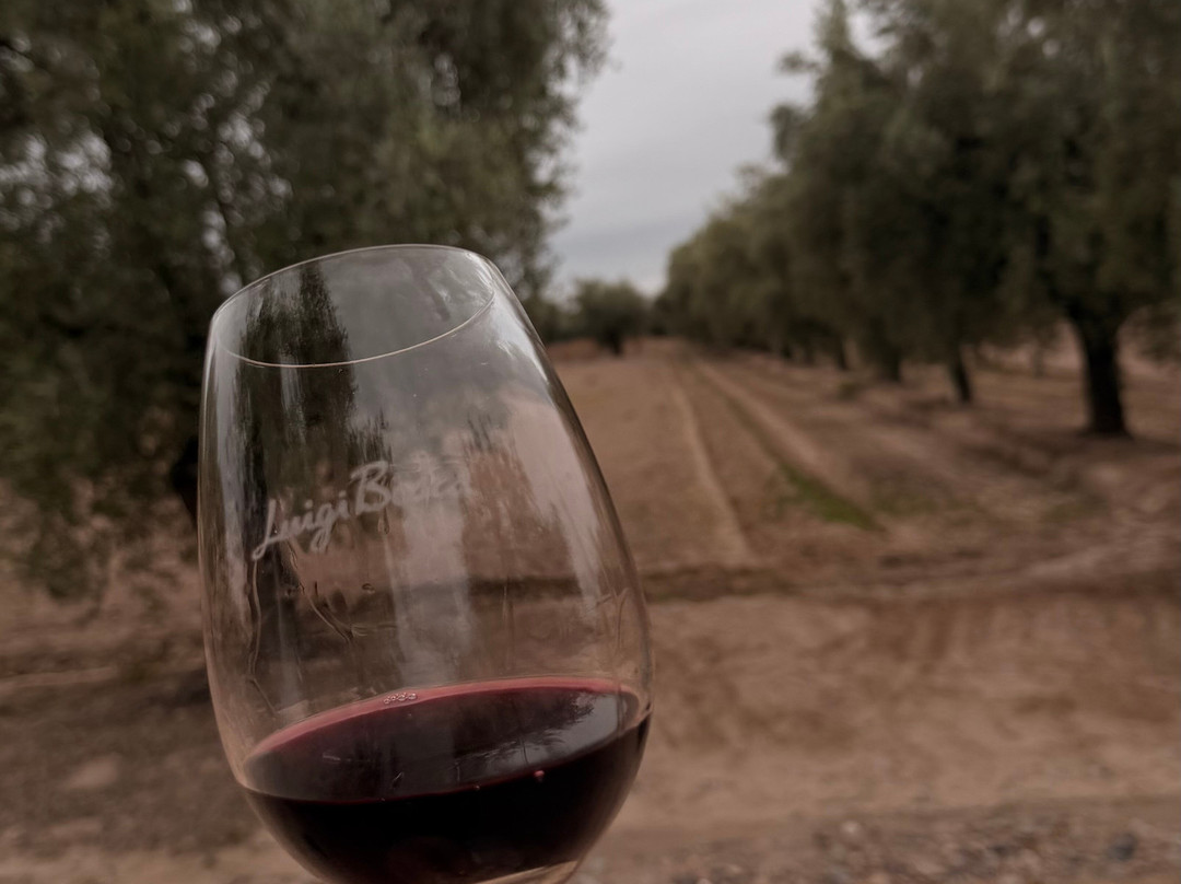 Finca El Paraíso - Bodega Luigi Bosca-Maipu必去景点