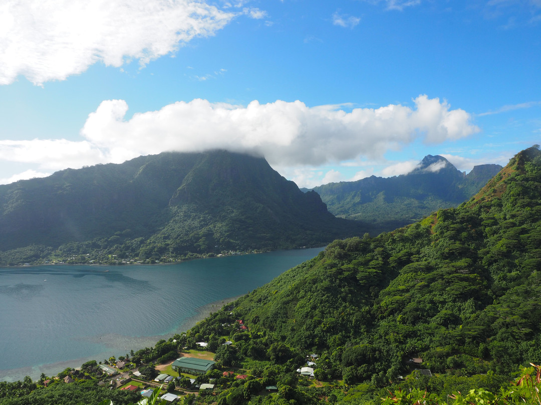 Magic Mountain Overlook-莫雷阿岛必去景点