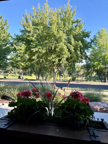 Homewood Suites by Hilton Eagle Boise-旅行者
