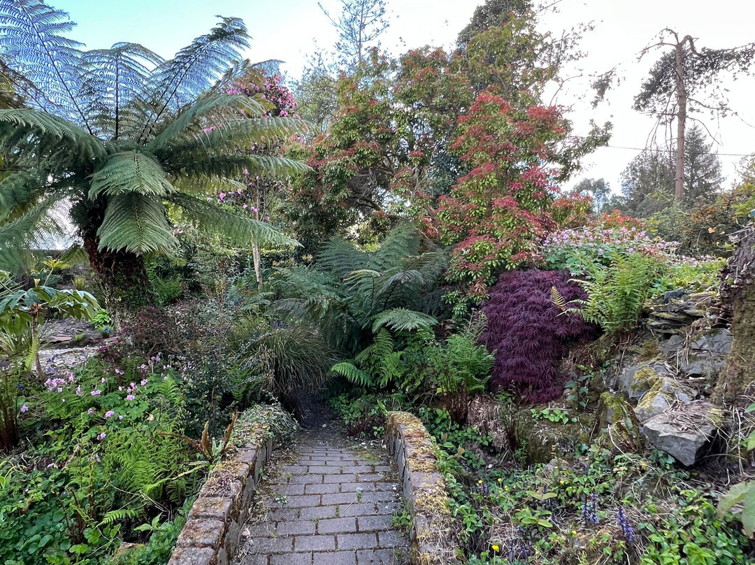 Ascog Hall Fernery and Garden-Ascog必去景点