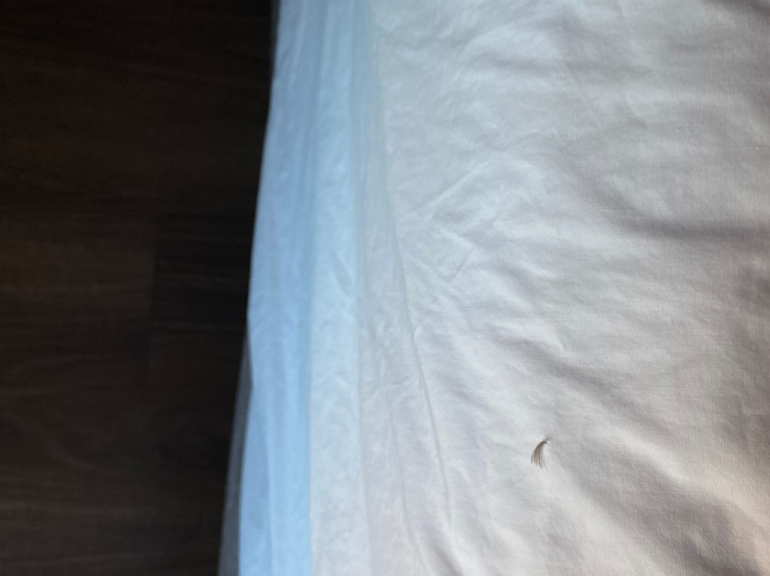 哈利森凯悦嘉轩酒店主图