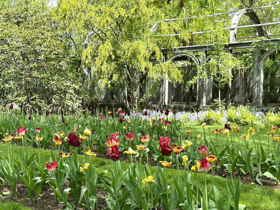 Annapolis Royal Historic Gardens-安纳波利斯罗亚尔必去景点