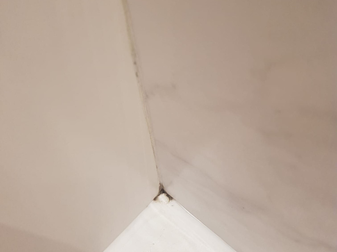 LES GARENNES HOTEL SPA Benodet主图