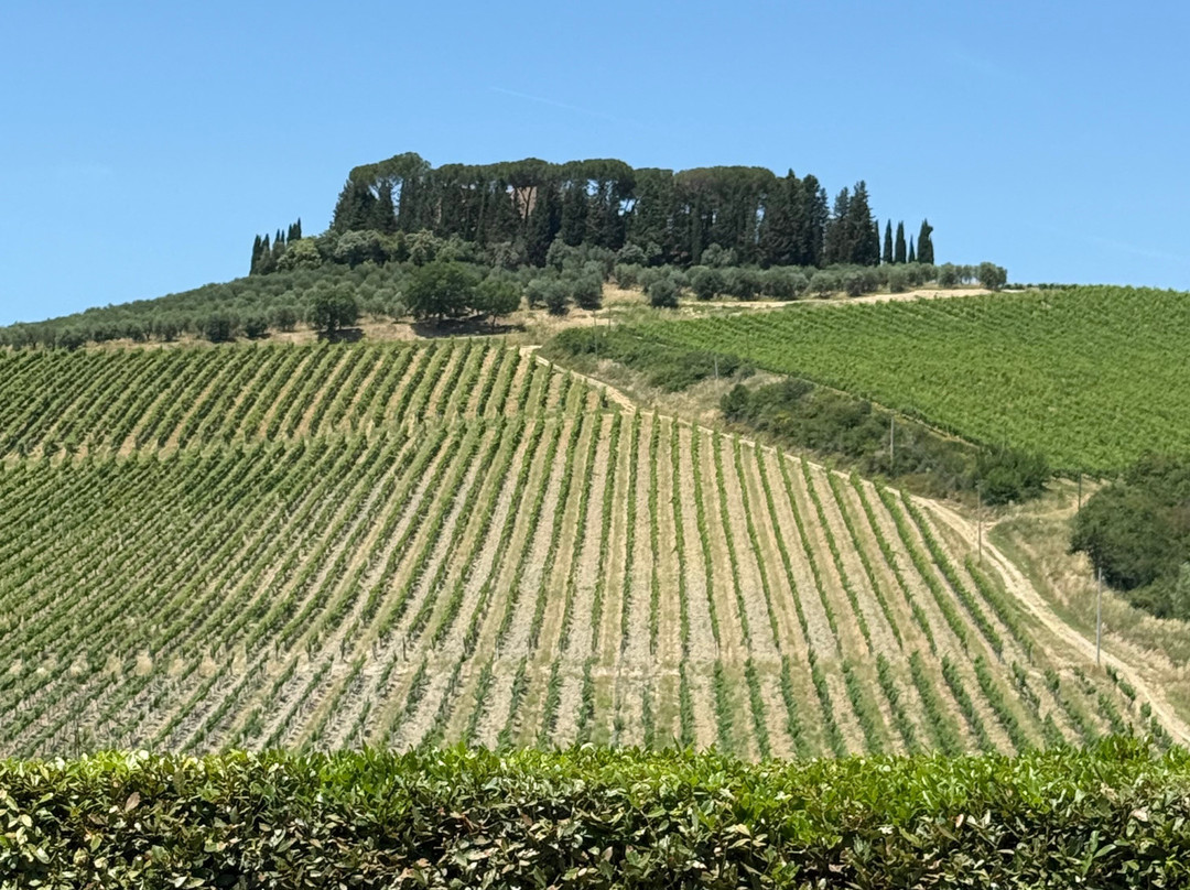 BikeRidingTuscany-拉波拉诺泰尔梅必去景点