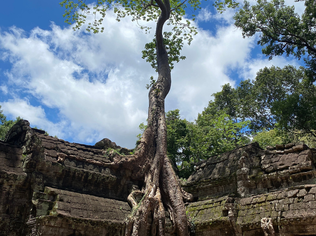 Journey Cambodia-暹粒必去景点