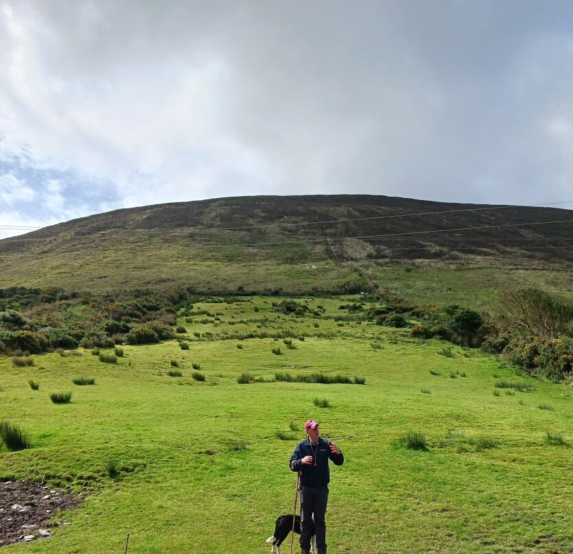 Kells Sheepdogs Ring of Kerry
