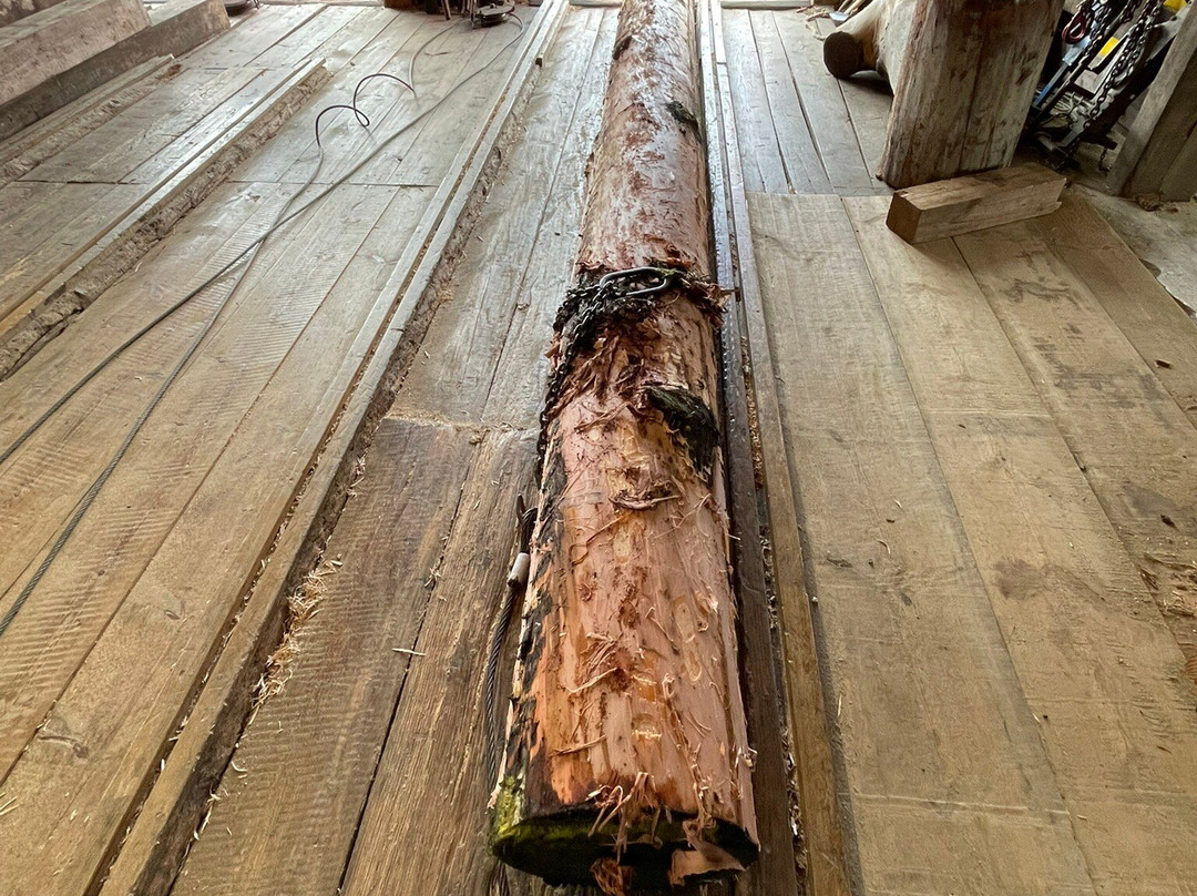 Houtzaagmolen De Rat-IJlst必去景点