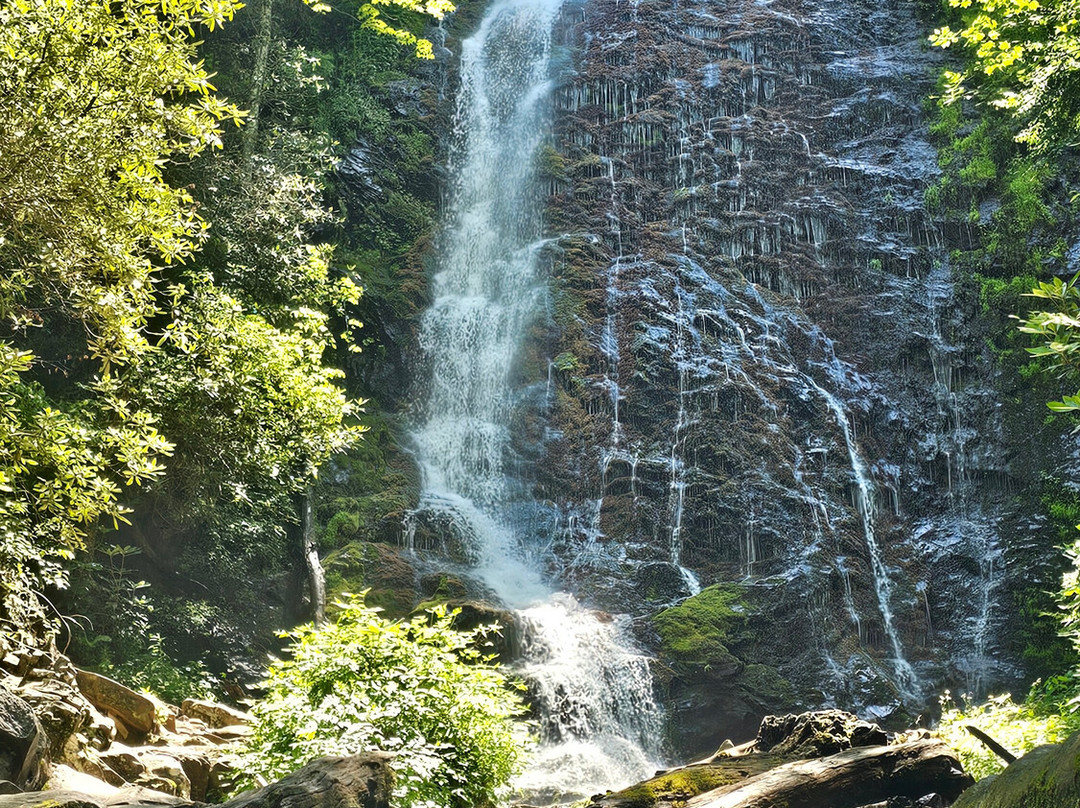 Mingo Falls-切罗基必去景点