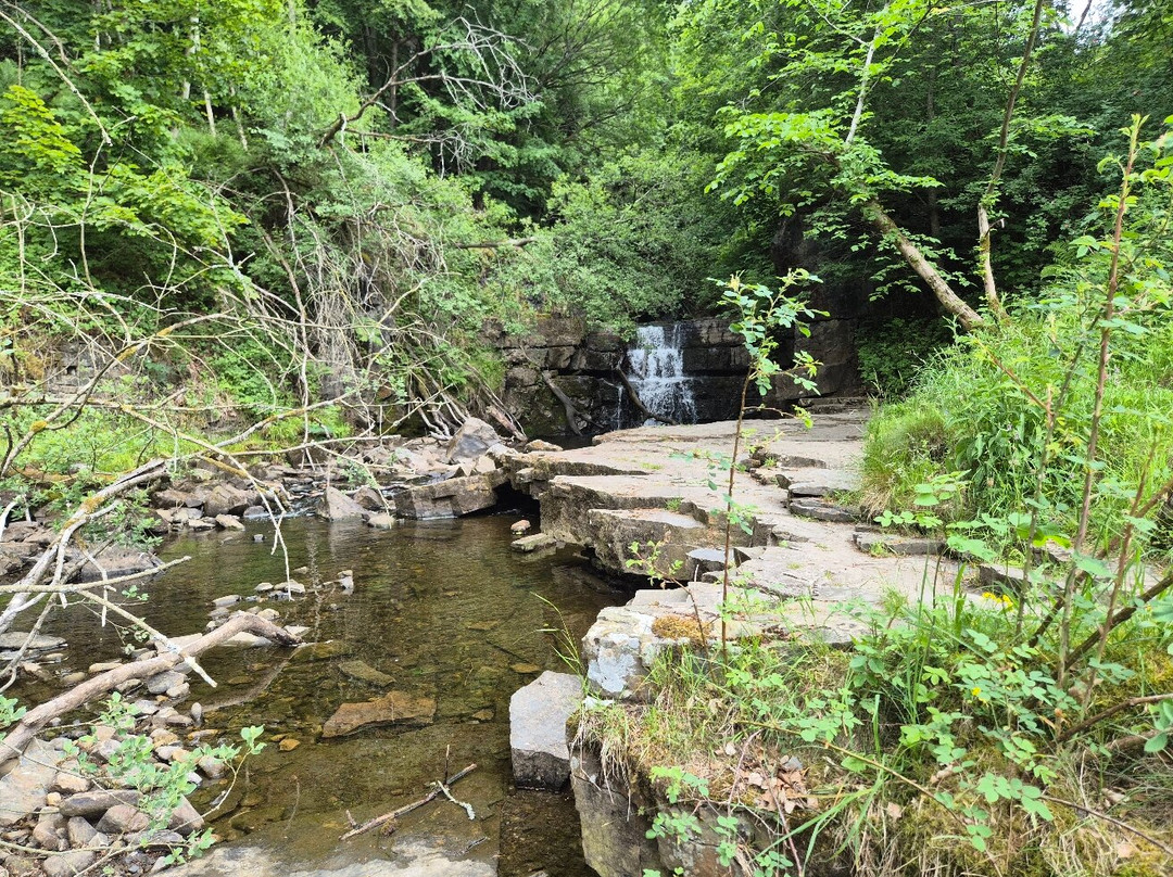 Summerhill Force And Gibsons Cave-Middleton in Teesdale必去景点