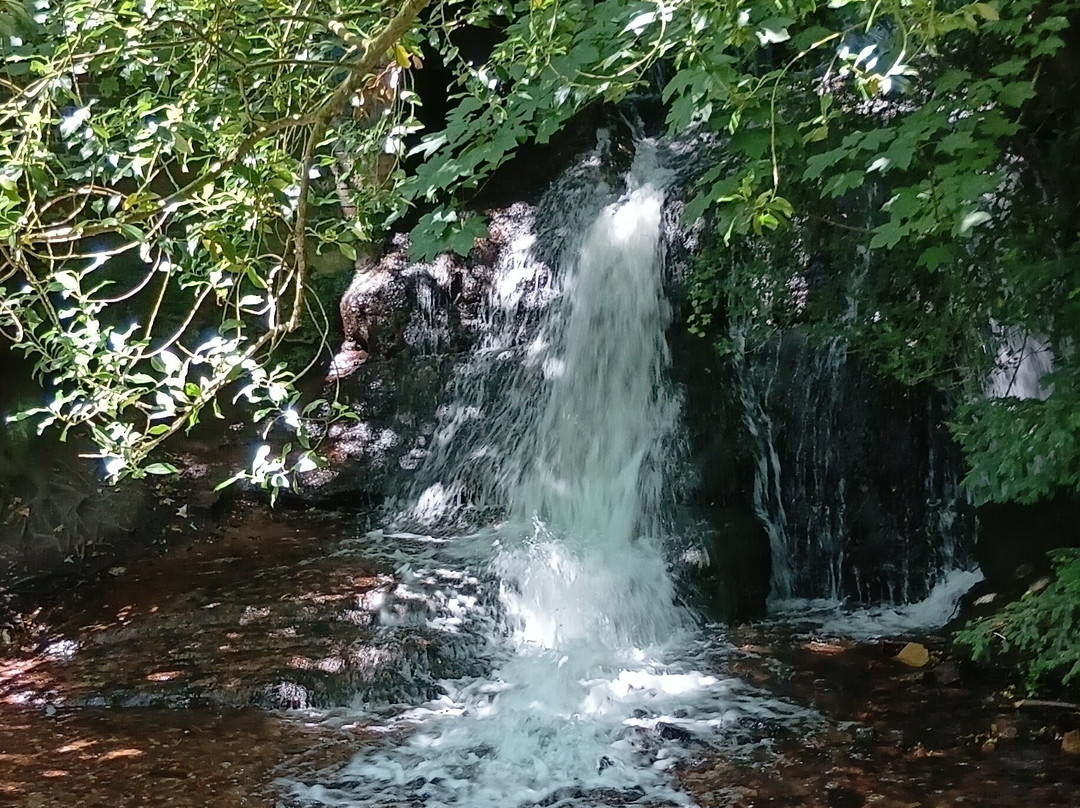 Cannock Chase Forest-鲁奇利必去景点
