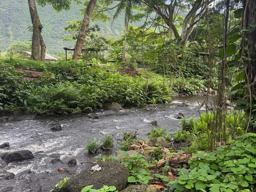 Waipio Valley Shuttle-库库伊哈尔必去景点