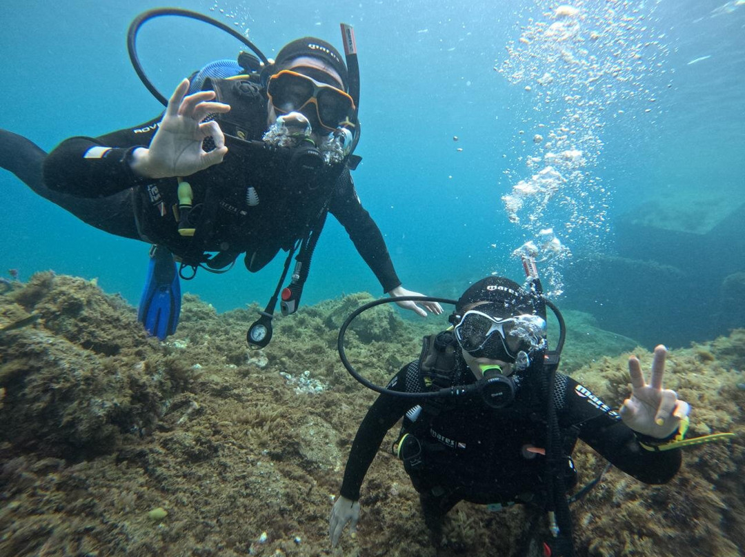Pura Vida Diving-布兰卡滩必去景点