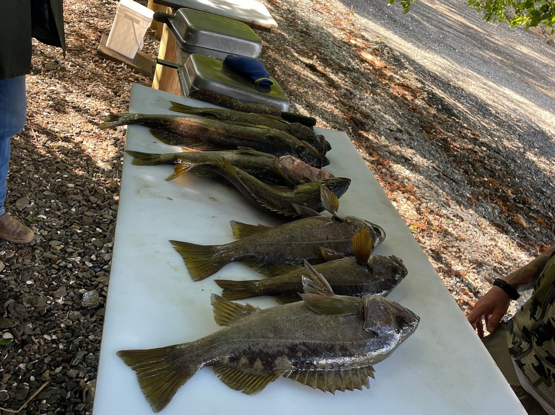 Baranof Fishing Excursions-凯奇坎必去景点