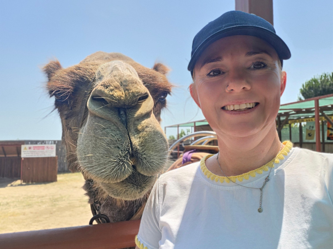 Camel Park Sunny Beach-拉夫达必去景点