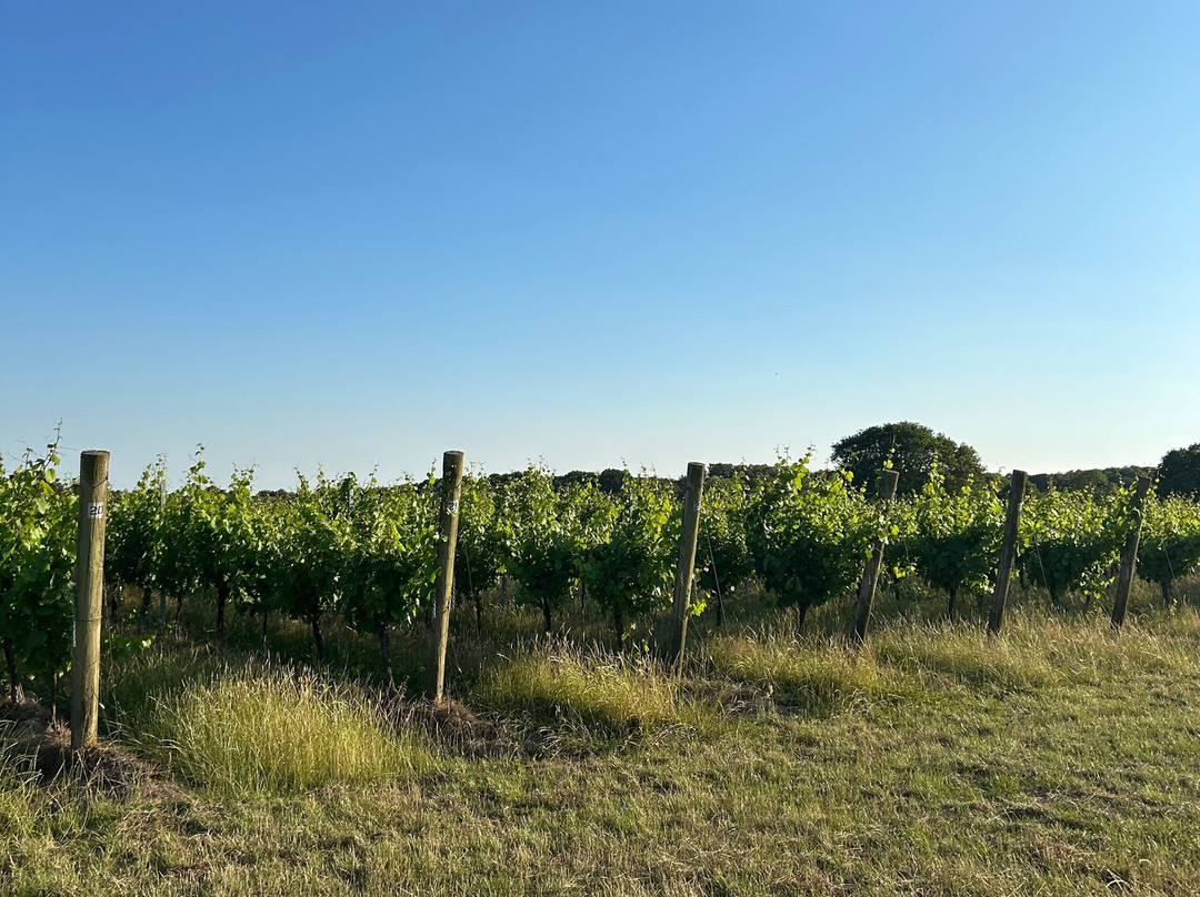 Woodchurch Vineyard-Woodchurch必去景点