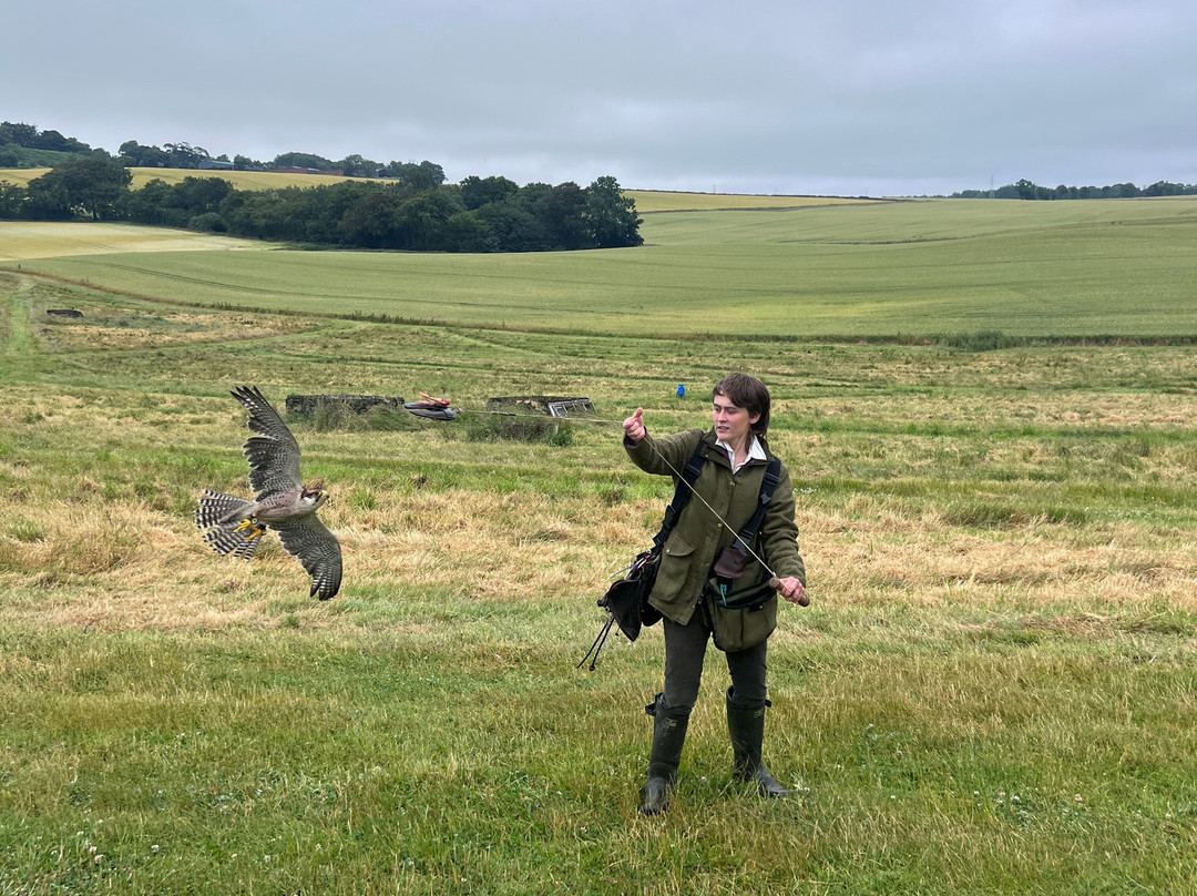 Elite Falconry-Kirkcaldy必去景点