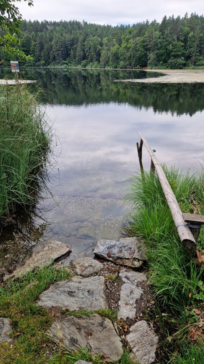 Seehof Feidig-泳池