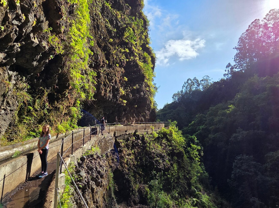 PR16 Levada Fajã do Rodrigues-Sao Vicente必去景点