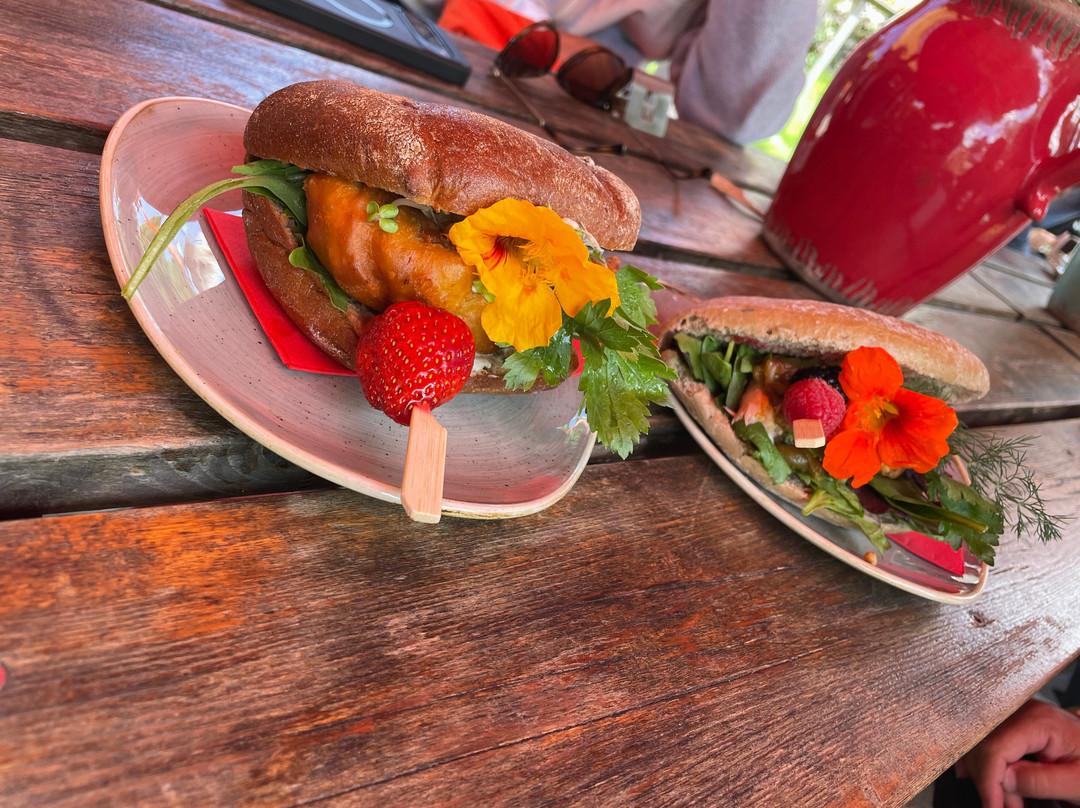 Karina's Fischgarten