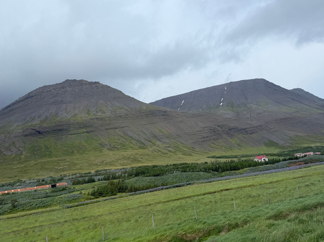 Wild Westfjords-伊萨菲厄泽必去景点