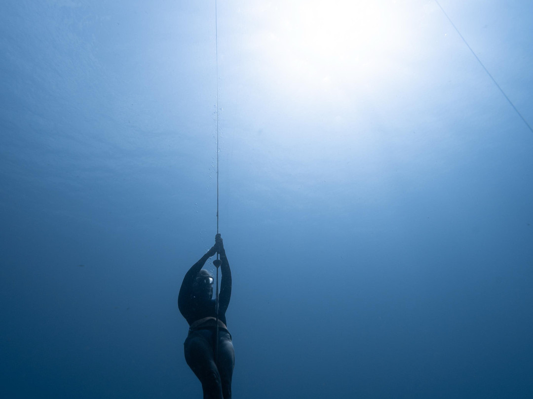 Deep Dominica Freediving-Soufriere必去景点