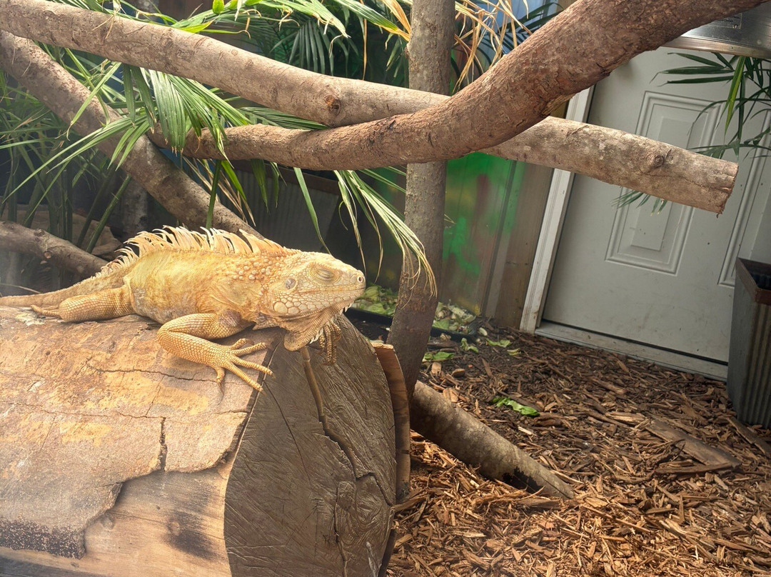 Broadway Zoological Park-Broadway必去景点
