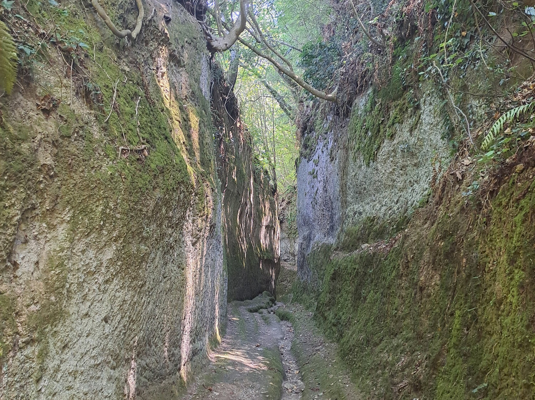 Vie Cave Etrusche-皮蒂利亚诺必去景点