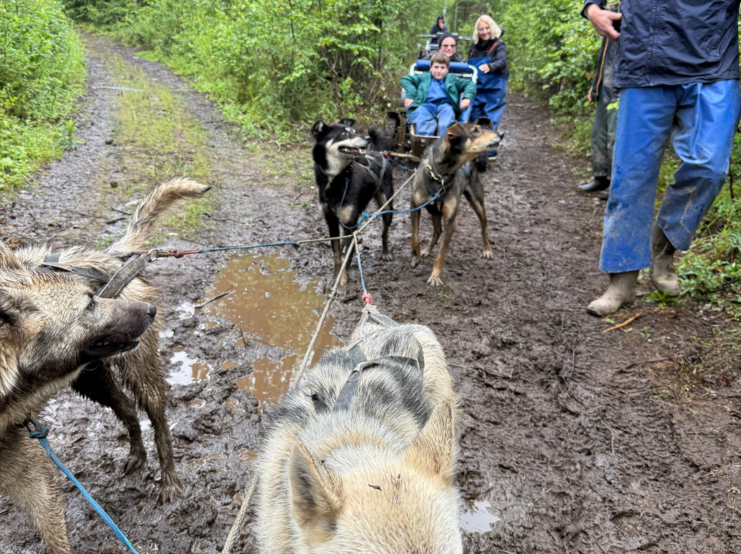 Alaskan Husky Adventures-Willow必去景点