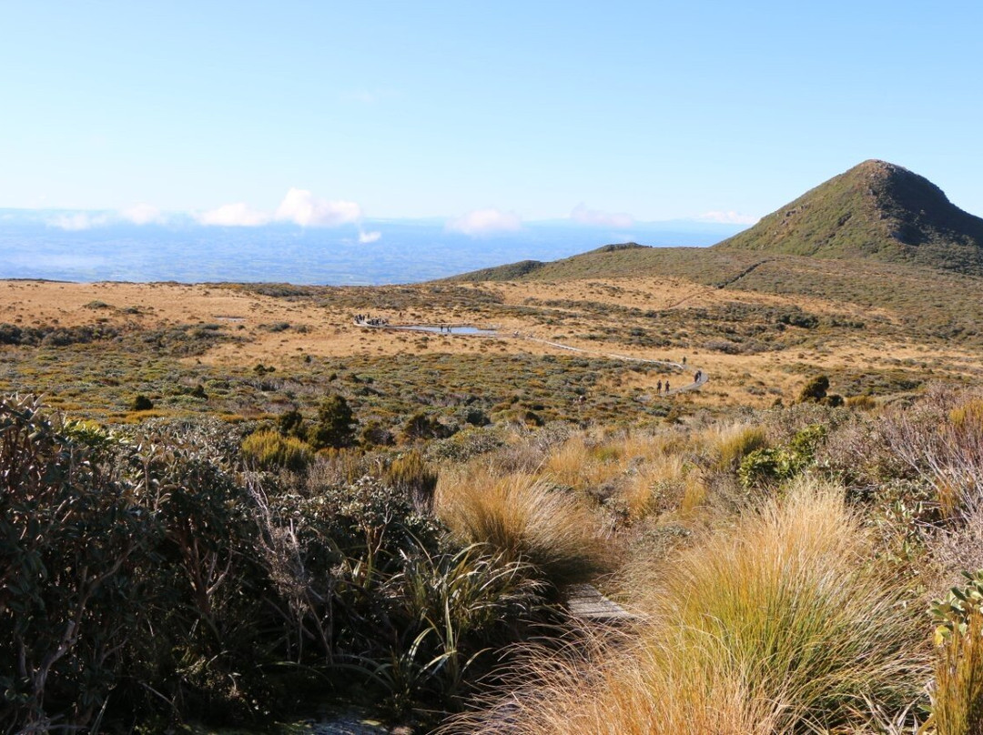 Pouakai Circuit-Egmont National Park必去景点