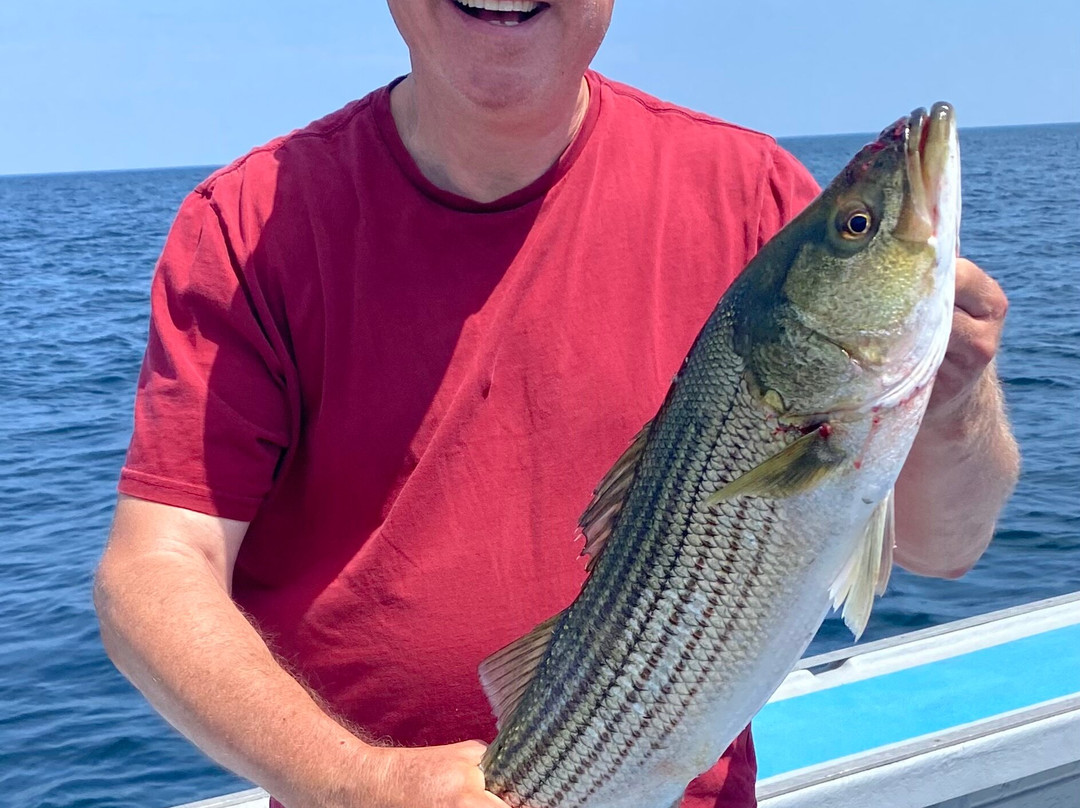 Campbell's Deep Sea Fishing-York必去景点