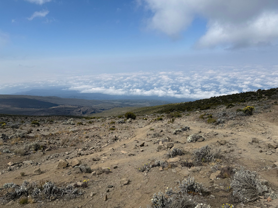 Climbing Kilimanjaro-Machame必去景点