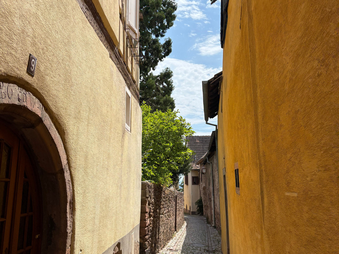 Village de Riquewihr-利克威尔必去景点