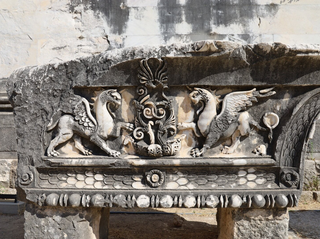 Temple of Apollo-迪迪姆必去景点