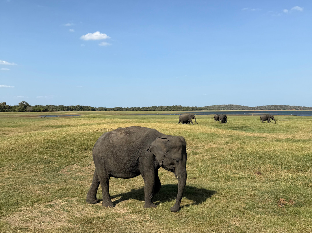 Sudath Safari and Tours Sri Lanka-锡吉里亚必去景点