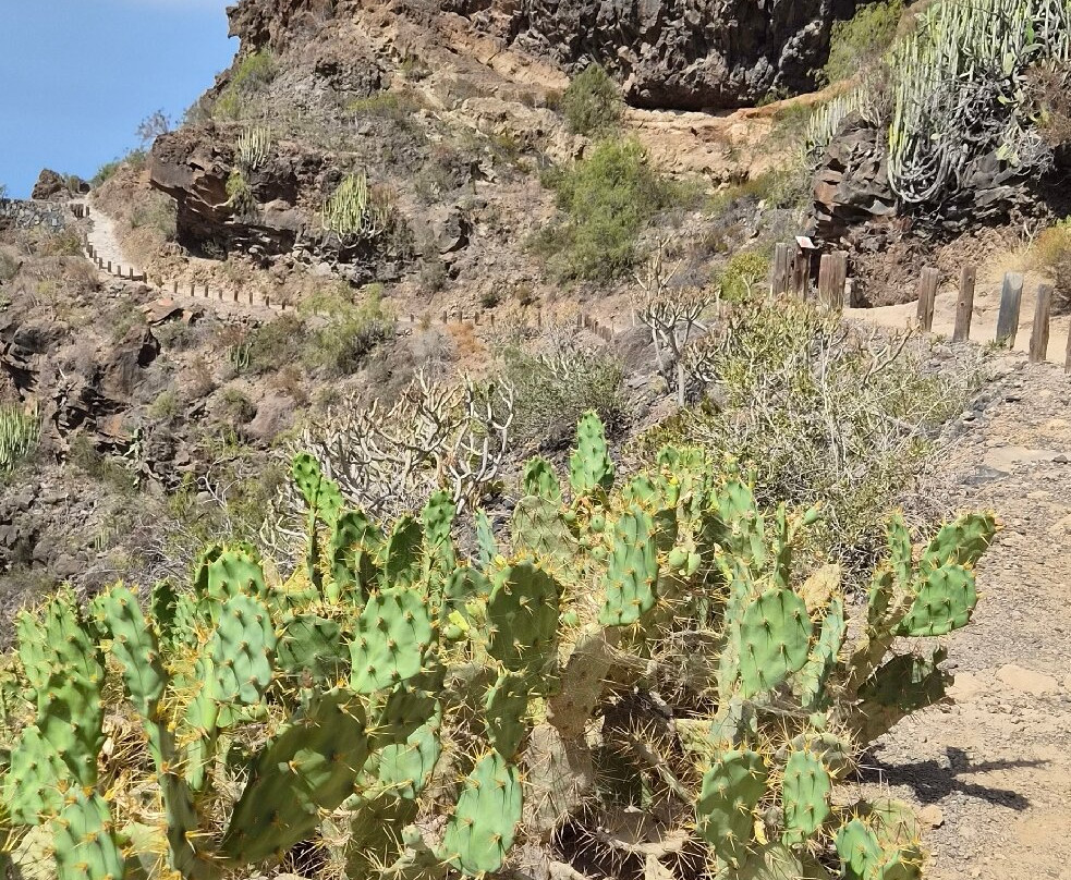 Barranco Del Infierno-奥德杰海岸必去景点