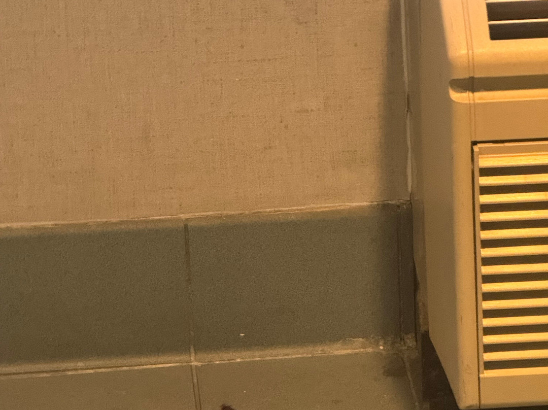 布埃纳帕克拉昆塔温德姆套房酒店主图