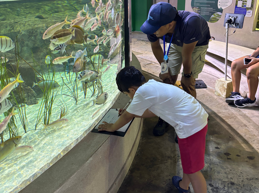 Odysseo Oceanarium Mauritius-路易士港必去景点