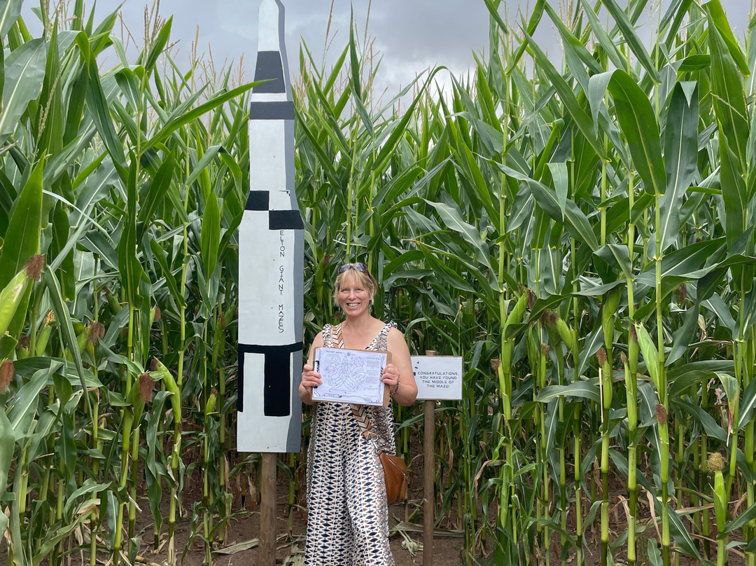 Elton Farm Maize Mazes-Newnham-on-Severn必去景点