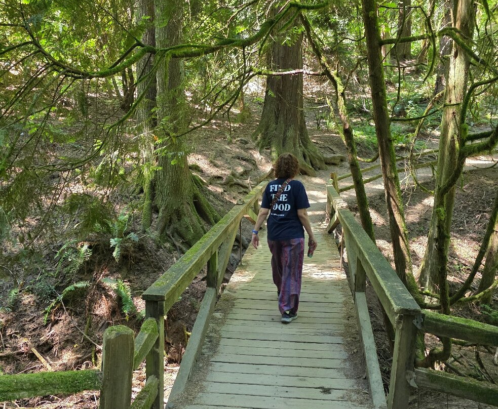 Hoyt Arboretum-波特兰必去景点