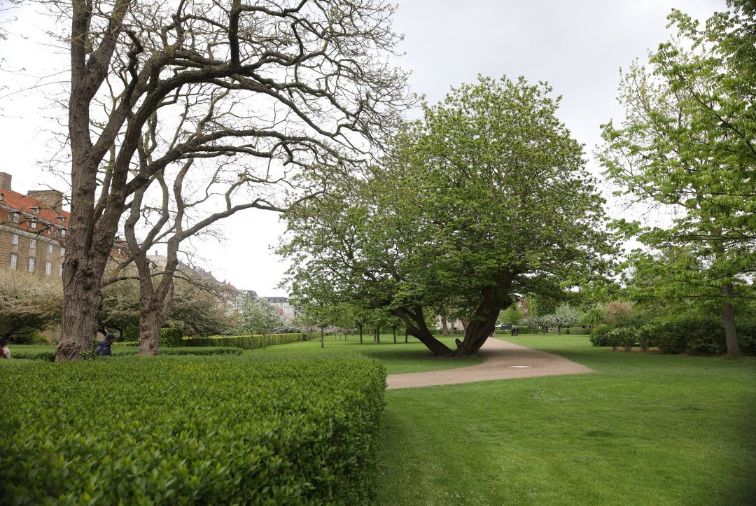 Kongens Have-哥本哈根必去景点